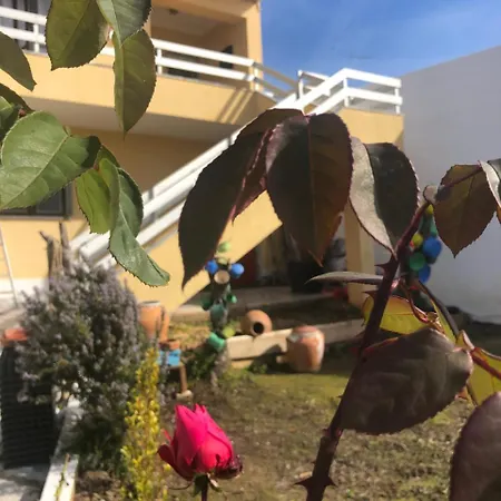 Casas Da Casa Amarela * 马夫拉