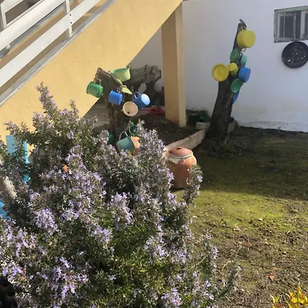 Casas Da Casa Amarela 马夫拉